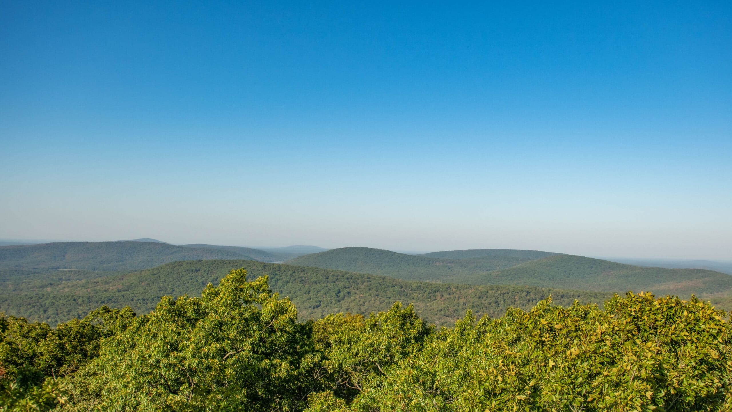 Sam A. Baker, Fall, Hiking, Firetower Overlook