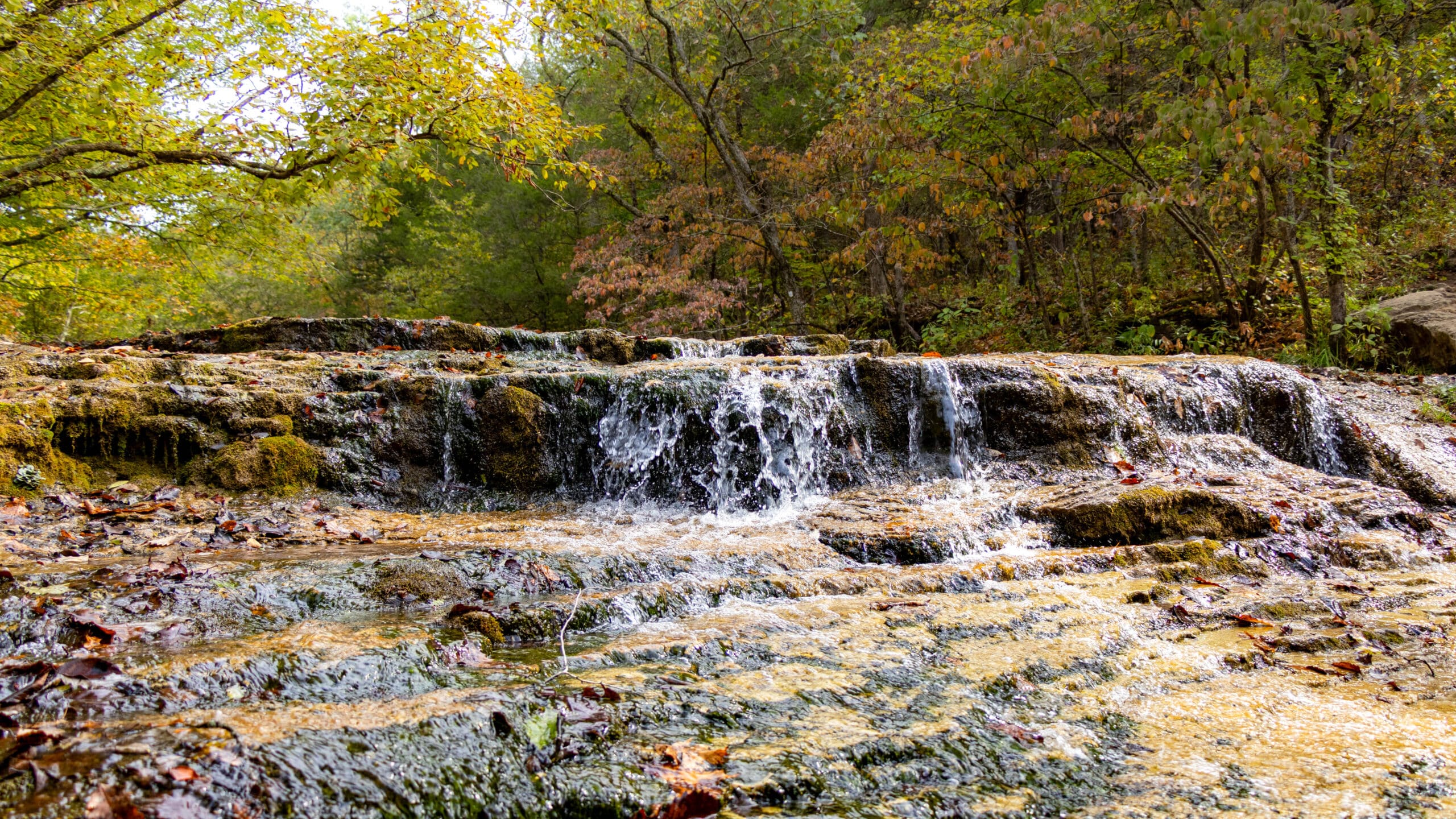 St. Francois State Park