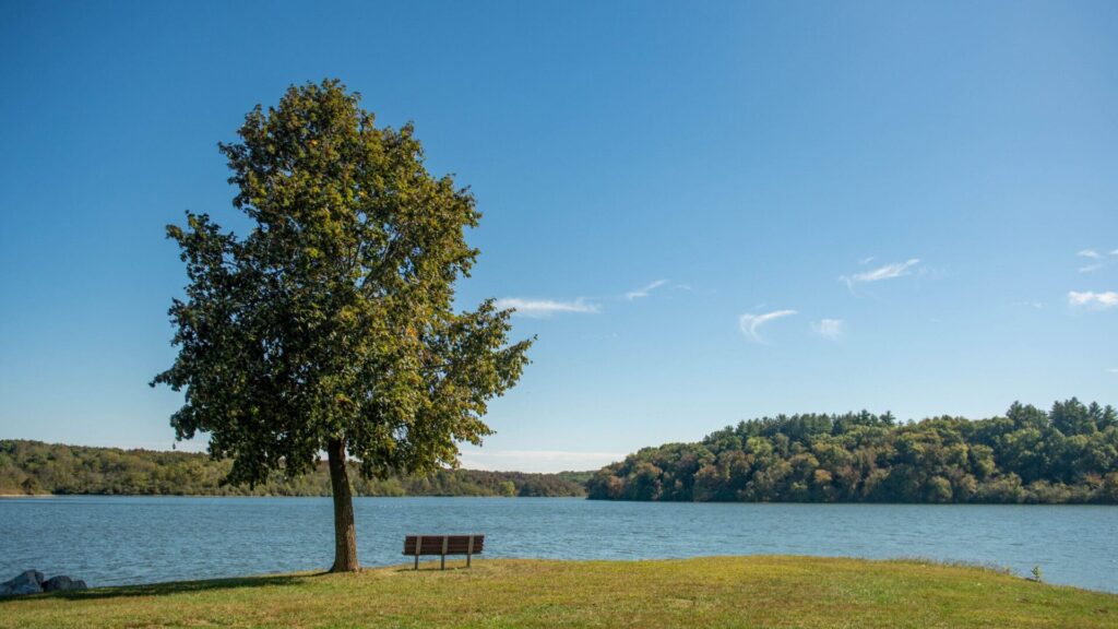Thousand Hills, Fall, Landscape, Bench by Lake Thousand Hills, Fall, Landscape, Bench by Lake