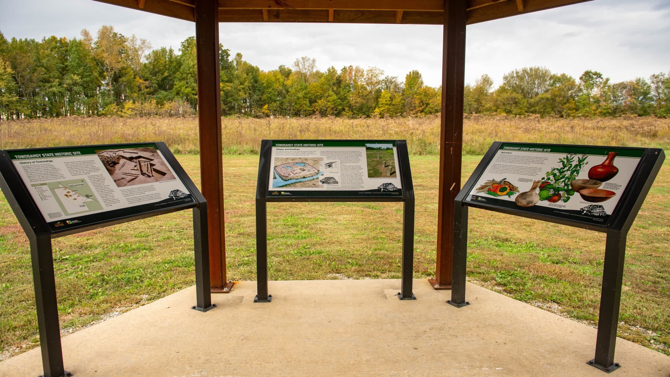 Towosahgy State Historic Site