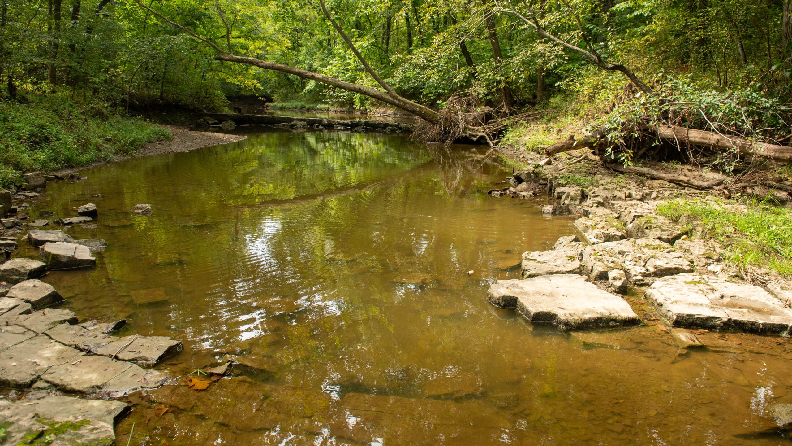 Wallace State Park
