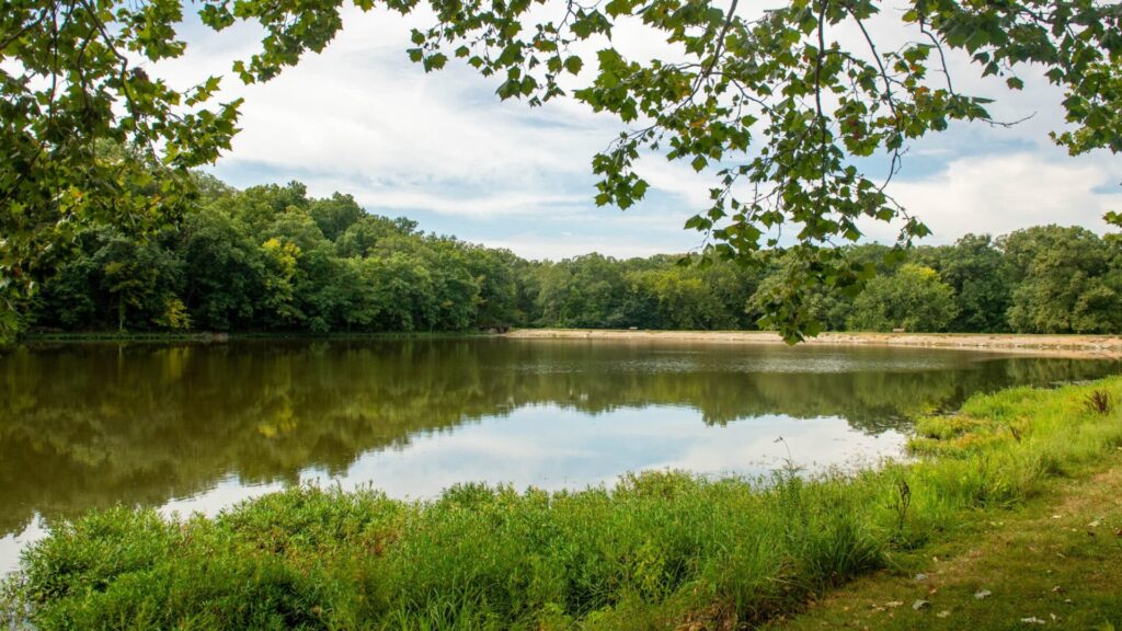 Wallace, Summer, Landscape, Lake Wallace, Summer, Landscape, Lake