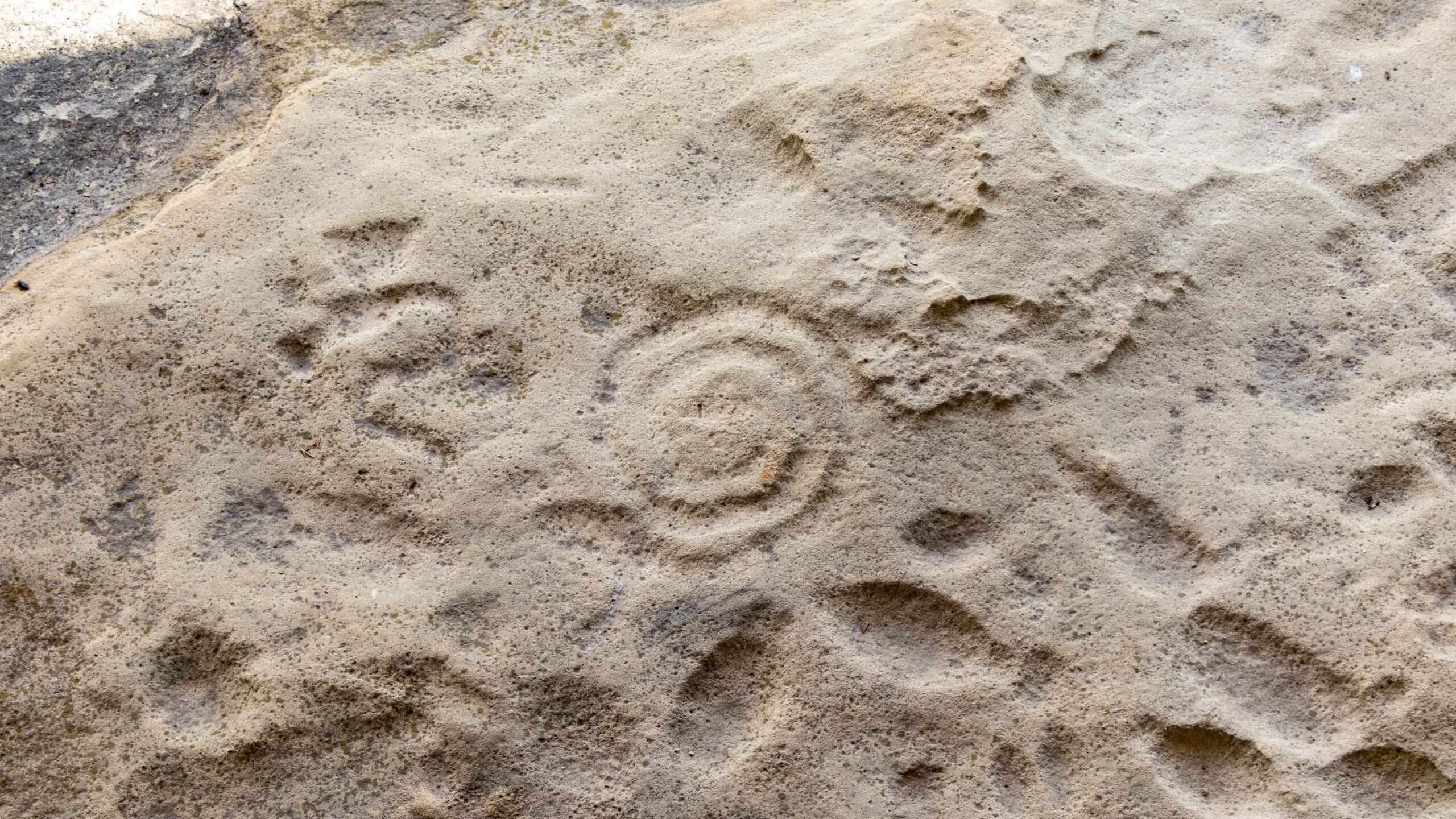 Washington, Summer, Structure, Petroglyphs
