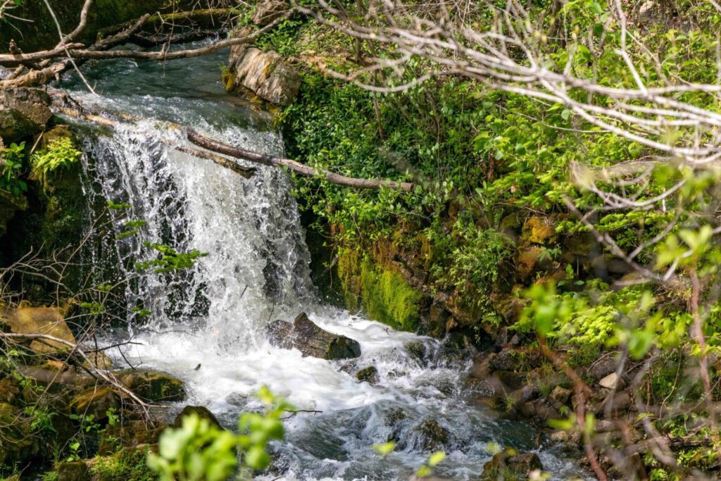 Onondaga, Spring, Hiking, Waterfall 2