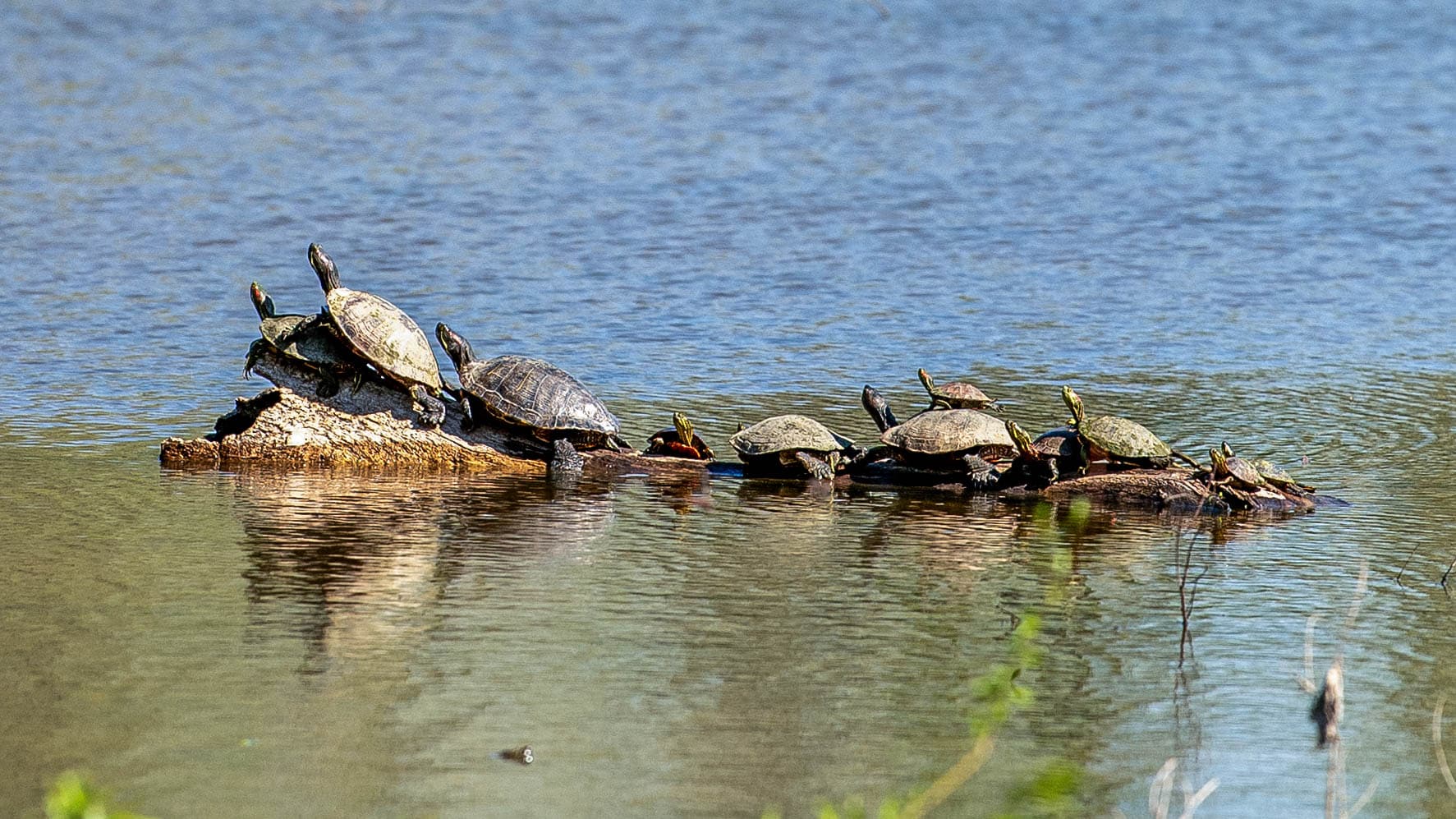Wakonda State Park