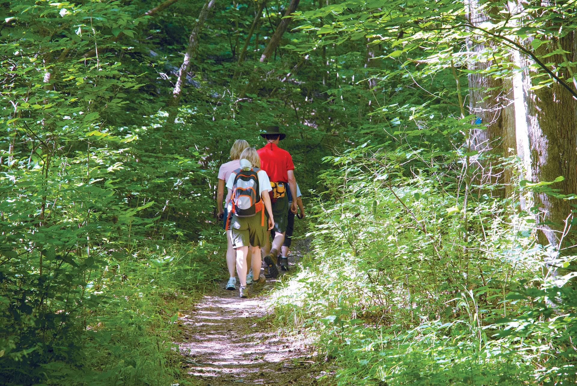 Hikers on a trail at Dr. Edmund A. Babler Memorial State Park